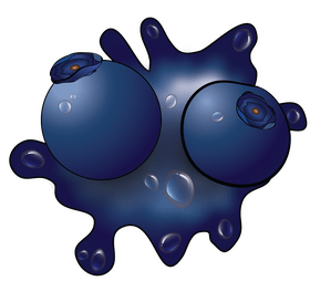 Blueberry clipart