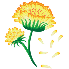 Cute dandelion clipart