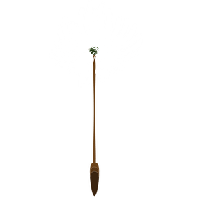 Free dandelion clipart