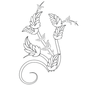 Leaf black and white clipart