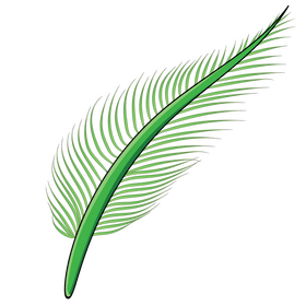 Leaf clipart