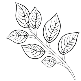 Leaf branch black and white clipart