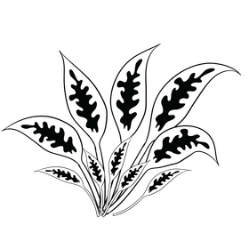 Green leaves black and white clipart
