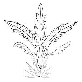 Cute leaf black and white clipart