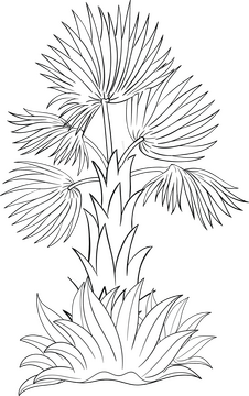 Palm tree black and white clipart