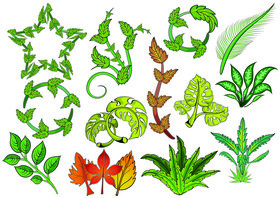 Leaves set vector
