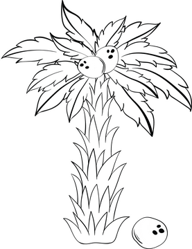 Coconut palm tree black and white clipart