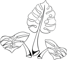Palm leaves black and white clipart free download