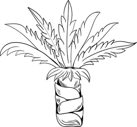 Palm black and white clipart