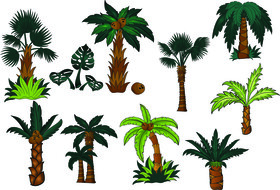 Palm tree vector