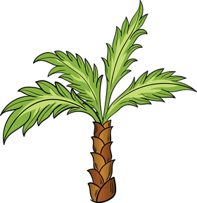 Palm clipart