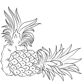 Cut in half pineapple black and white clipart