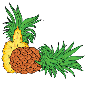 Cut in half pineapple clipart