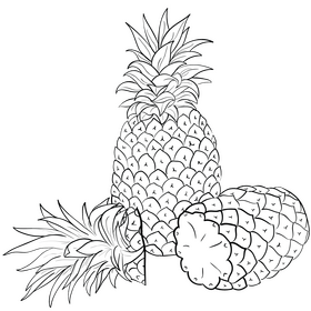 Pineapple fruit black and white clipart