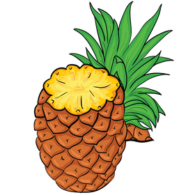 Pineapple with leaves clipart