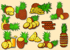 Pineapple vector
