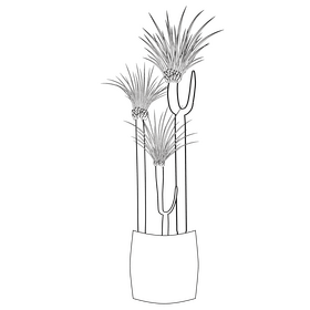 Potted plant black and white clipart
