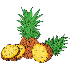 Pineapples clipart