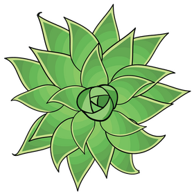 Plant clipart