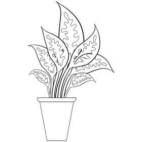 Office potted plant black and white clipart