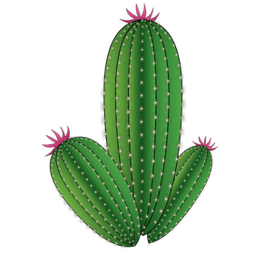 Potted cactus clipart