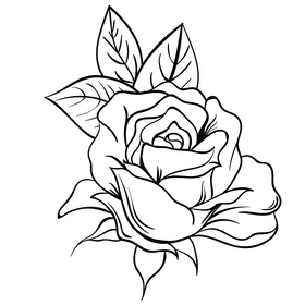 Rose black and white clipart
