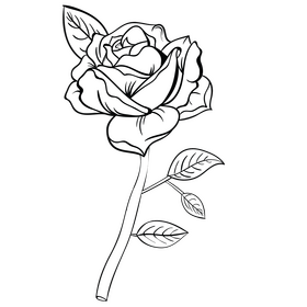 Rose black and white clipart