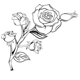 Rose flower black and white clipart