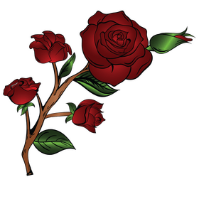 Rose flower clipart