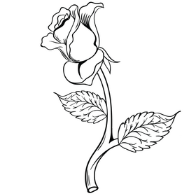 Yellow rose black and white clipart