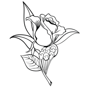 Rose Black And White Clipart Free Download