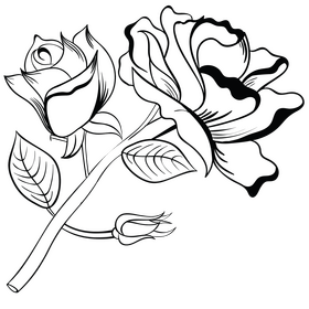 Rose black and white clipart
