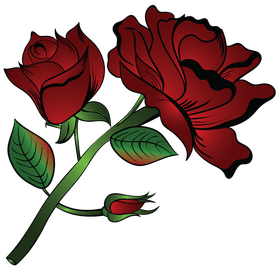 Rose clipart