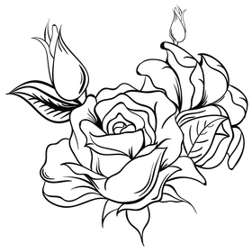 Violet rose black and white clipart