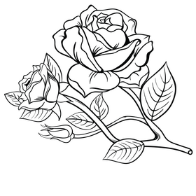 2 Roses black and white clipart free download