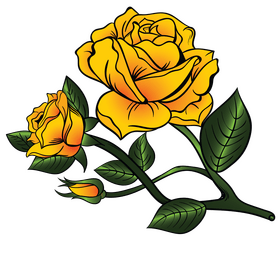 Yellow roses clipart