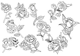 Rose black and white vector