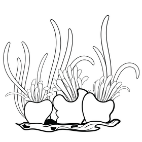 Underwater plant black and white clipart