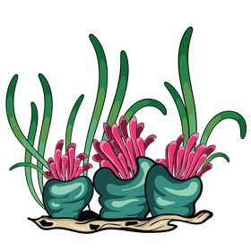 Underwater plant clipart