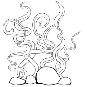 Sea plant black and white clipart