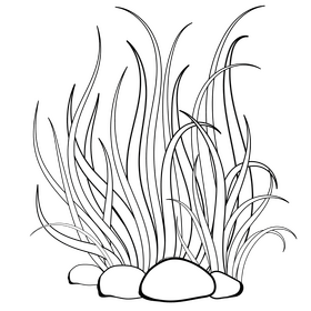Sea plant black and white clipart