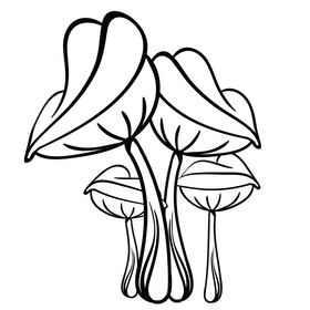 Sea plants black and white clipart