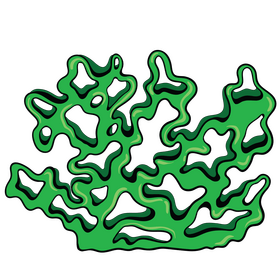 Free sea plant clipart