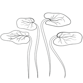 Ocean plant black and white clipart