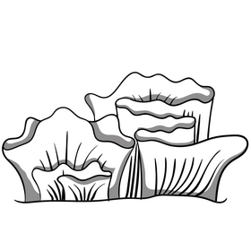 Sea plant black and white clipart