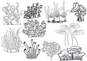 Sea plant set black and white vector