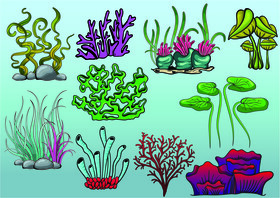 Sea plant set vector