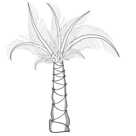 Tree black and white clipart