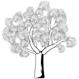 Tree black and white clipart