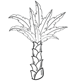 Beach tree black and white clipart